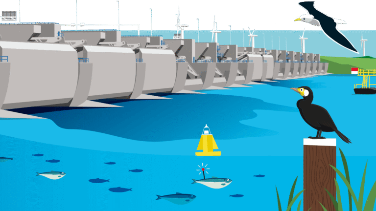 Infographic voor rijkswaterstaat