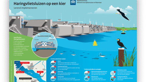 Infographic voor Rijkswaterstaat