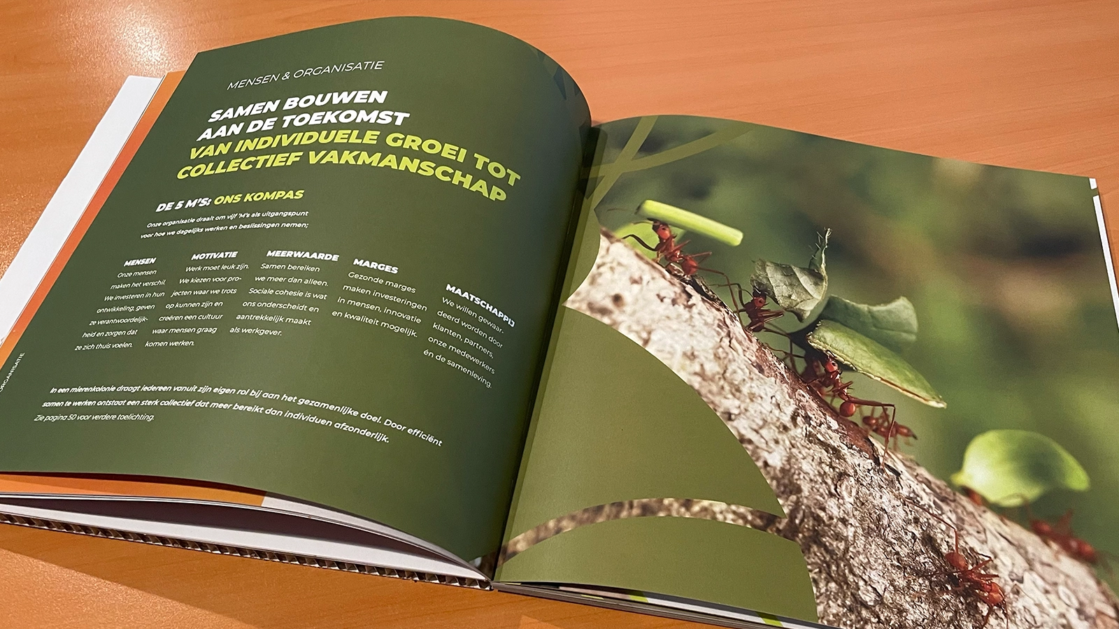 mockup ondernemingsplan Lithos